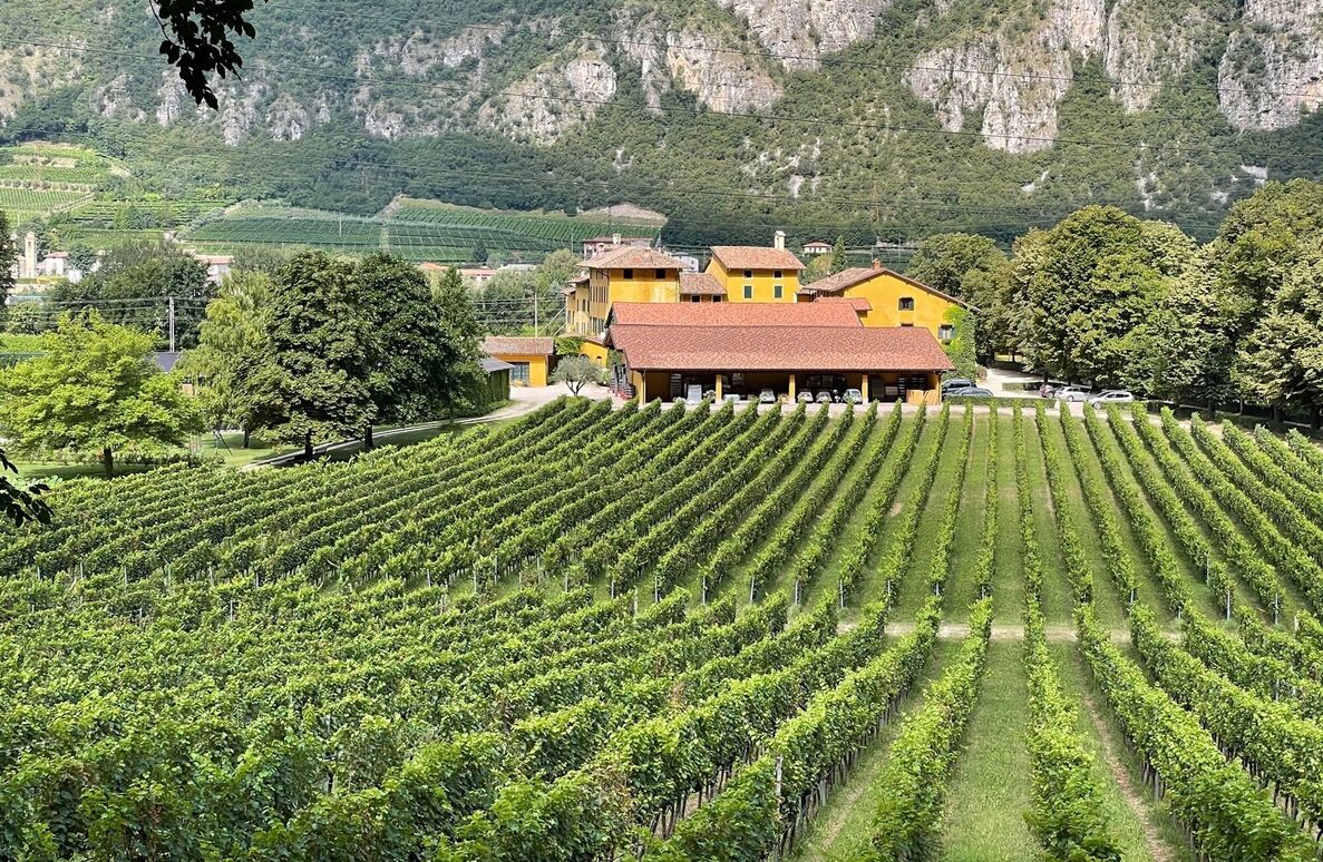 San Leonardo X