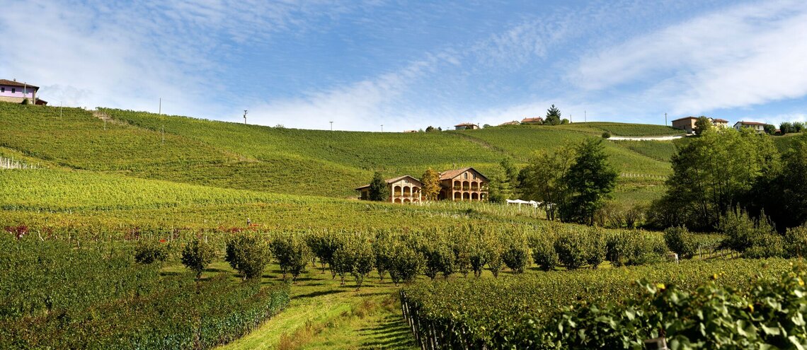 Vína z vinařství Batasiolo ve VINOdiVINO