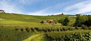 Vína z vinařství Batasiolo ve VINOdiVINO