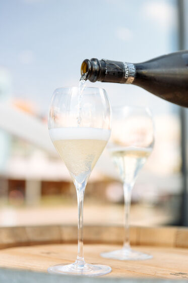 Škola prosecca 22.4.2026