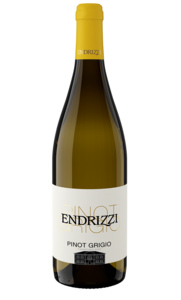 Pinot Grigio Trentino 2025 DOC 0,75l
