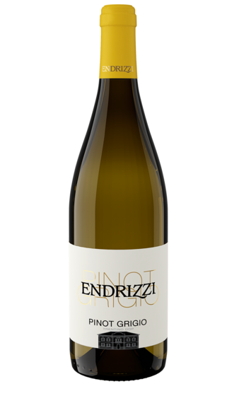 Pinot Grigio Trentino 2025 DOC 0,75l
