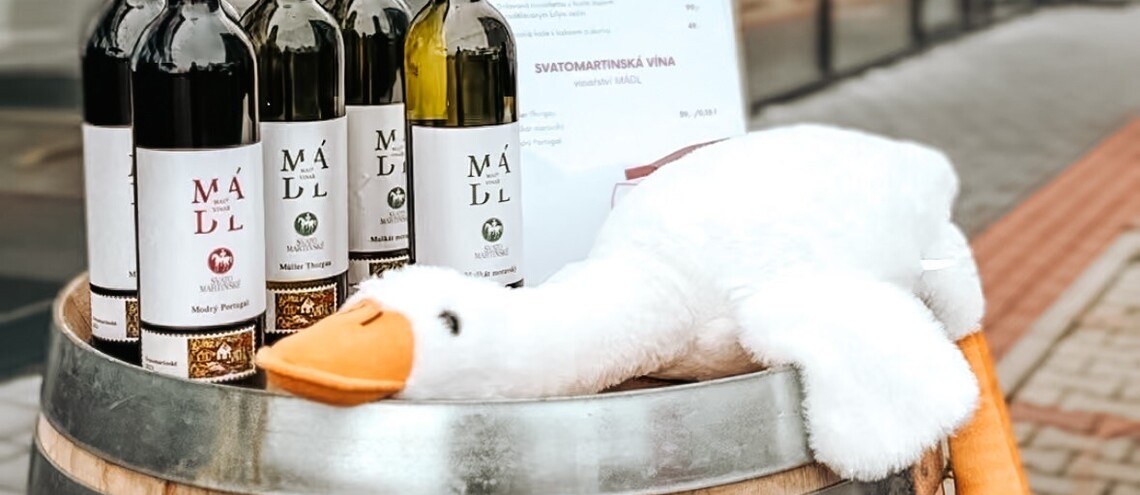Svatomartinská husa s vinařstvím Marchesi di Barolo & Rocca delle Macie
