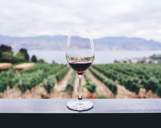 VINOdiVINO